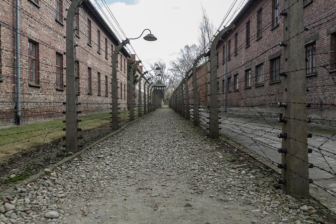 Auschwitz-Birkenau & Wieliczka in One Day Half Private Tour - Logistics and Transportation