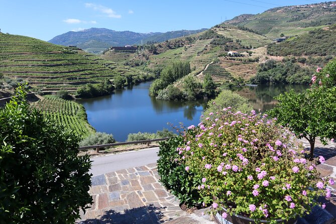 Authentic Douro Wine Tour Including Lunch and River Cruise - Port Wine Tastings