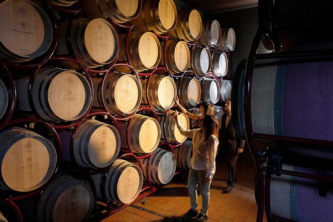 Bolgheri: Classic Wine Tasting With Winery Tour - Tuscan Countryside Immersion