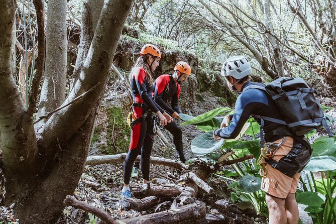 Canyoning With Waterfalls in the Rainforest - Small Groups ツ - Cancellation Policy