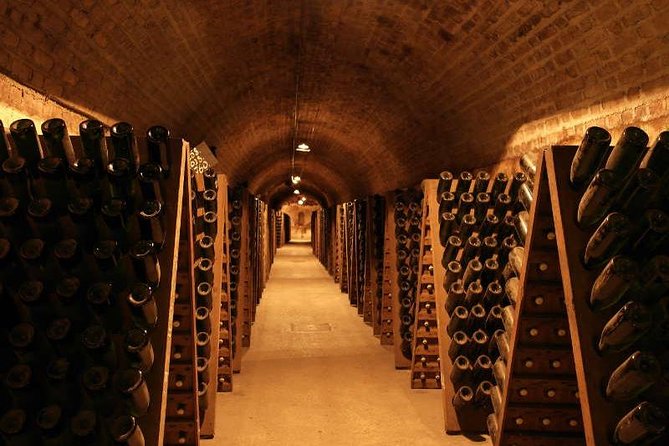 Champagne and Reims Tasting Day Trip From Paris - Small Group Tour Experience