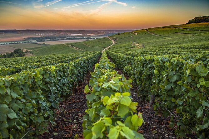 Champagne Day Trip From Reims Including 6 Champagne Tastings - Cancellation Policy