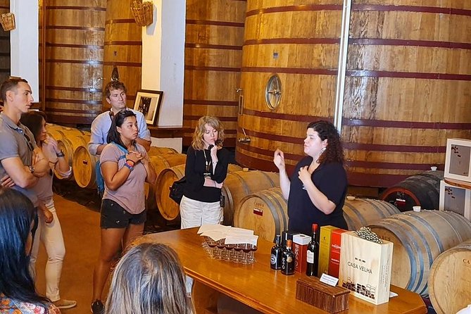 Complete Douro Valley Wine Tour With Lunch, Wine Tastings and River Cruise - Additional Information