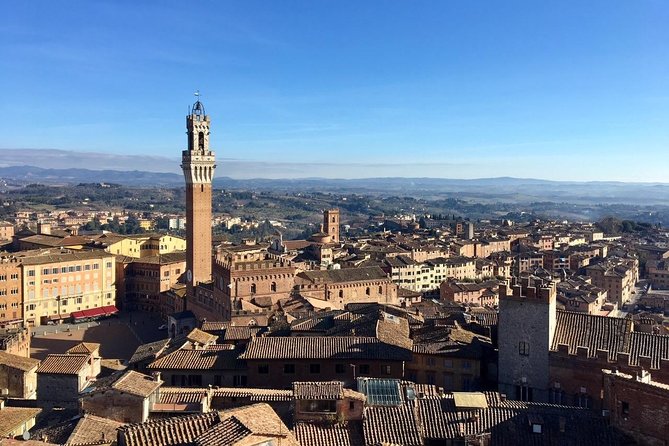 Discover the Medieval Charm of Siena on a Private Walking Tour - Cathedral Visit Option