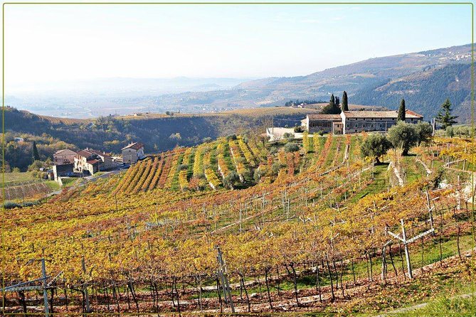 Discover Valpolicella Vineyards and Wine Tasting Experience - Pairing Wines With Local Delicacies