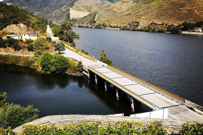Douro Valley: Food and Wine Small Group Tour From Porto - Lunch in the Douro Valley