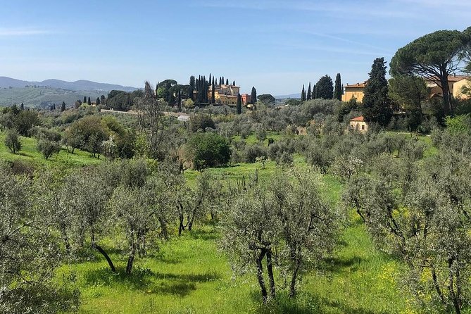 E-Bike Florence Tuscany Self-Guided Ride With Vineyard Visit - Bike Rental and Pickup
