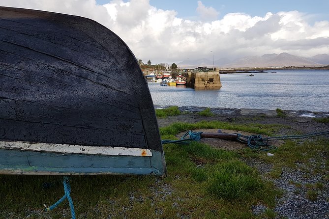 From Galway: Guided Tour of Connemara With 3 Hour Stop at Connemara National Pk. - Transportation and Guide