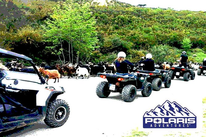 Half-Day Rethymno Quad Safari - Pickup and Meeting Point Details