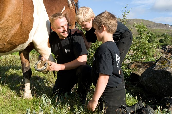Icelandic Horseback Riding Tour Including Pick up From Reykjavik - Additional Tour Information