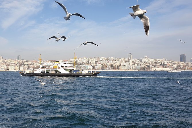 Istanbul Private Guided Tour for Layover Flight. Transfer Incl. - Exploring Istanbuls Top Sights