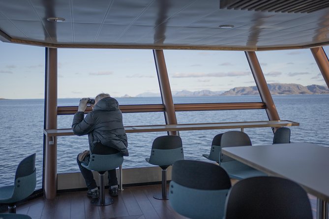 Lofoten Island: Silent Trollfjord Cruise From Svolvær - Meeting and Pickup Details