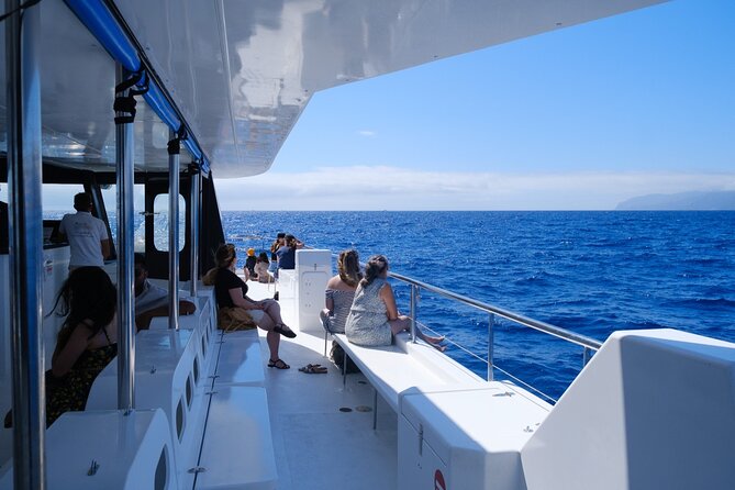 Madeira Dolphin and Whale Watching on a Ecological Catamaran - Duration and Itinerary