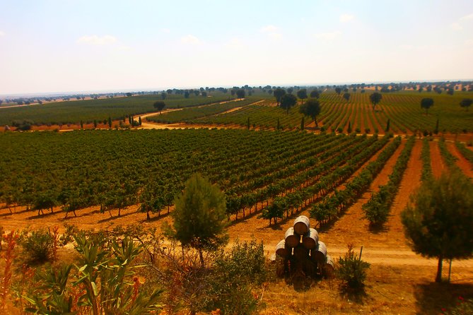 Madrid Countryside Wineries Guided Tour With Wine Tasting - Winery Visits and Tastings