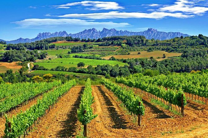 Montserrat,Vineyard, Wine Tasting Small Group Tour & Hotel Pickup - Cancellation Policy