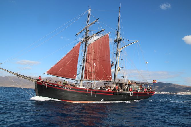 Pirate Adventure Boat Tour With Lunch in Fuerteventura - Accessibility and Transportation Options