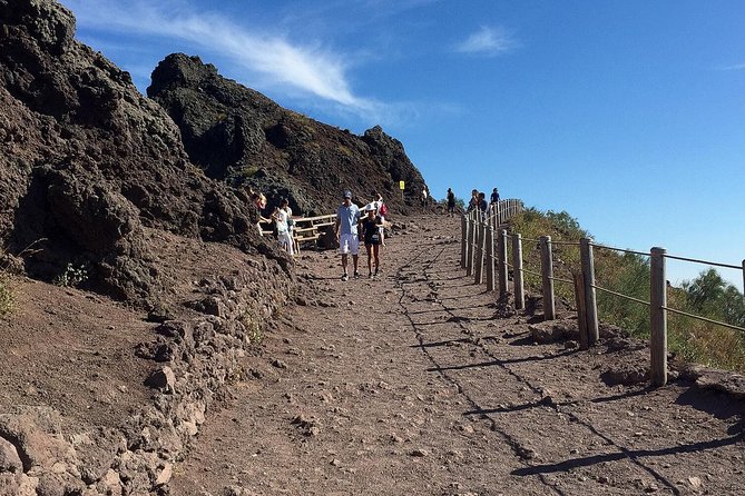 Pompeii Vesuvius Day Trip From Naples+Italian Light Lunch - Light Lunch or Wine Tasting