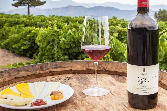 Private 6-Hour Tour of Three Etna Wineries With Food and Wine Tasting - Traveler Reviews