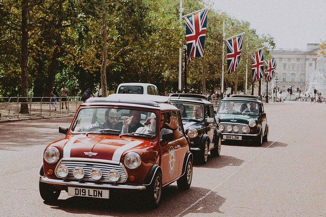 Private Panoramic Tour of London in a Classic Car - Group Size and Accessibility