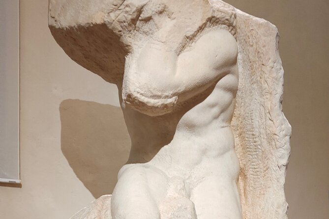 Skip-the-Line Guided Tour of Michelangelo's David - Tour Accessibility and Recommendations