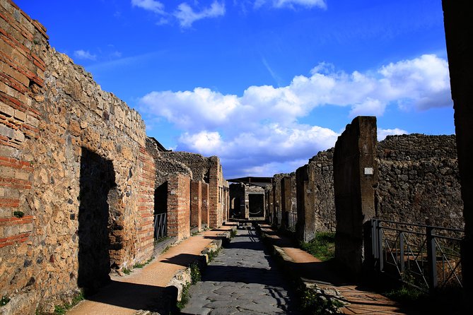 Small Group Guided Tour of Pompeii Led by an Archaeologist - Ease of Entry