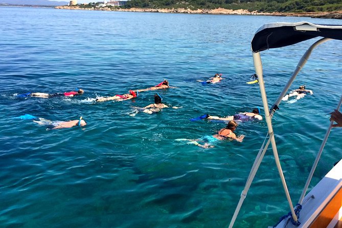 Summer Tour: Dolphin Watching and Guided Snorkeling - Snorkeling Experience