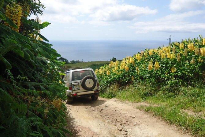8-Hour Private Tour in 4x4 Vehicle From Ponta Delgada - Accessibility and Accommodations