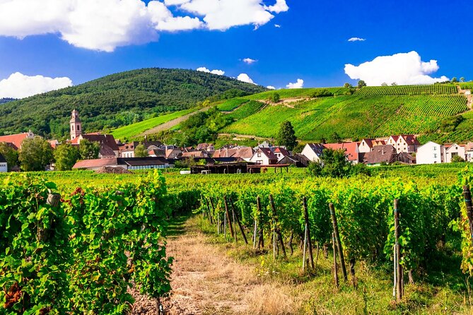 Alsace Wine Route Small Group Half-Day Tour With Tasting From Strasbourg - Cancellation Policy