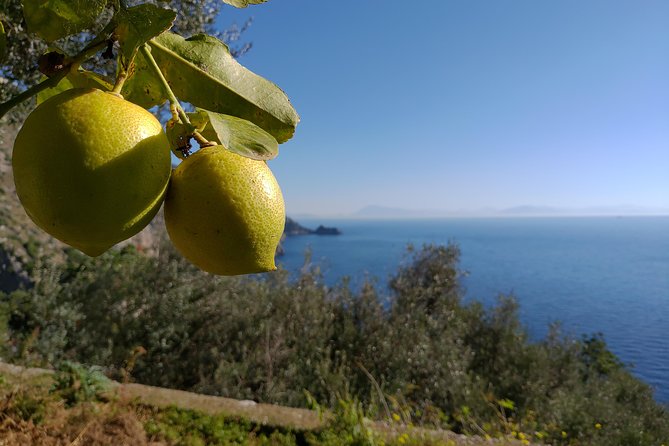 Amalfi Coast Home Cooking Class With Meal & Drinks Included - Price and Whats Included