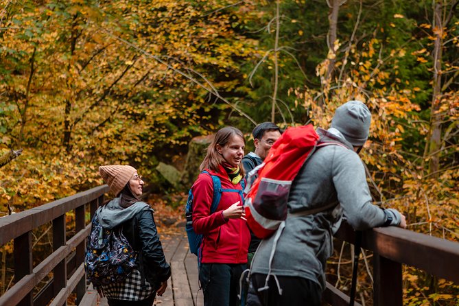 Bohemian and Saxon Switzerland National Park Day Trip From Prague - Best Reviews - Hiking and Outdoor Activities