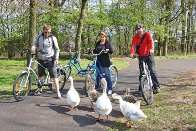 Cheese, Canals & Windmill Countryside E-Bike Tour Amsterdam - Tour Schedule and Duration