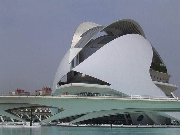 City of Arts and Sciences Private Segway Tour - Personalized Experience and Flexibility