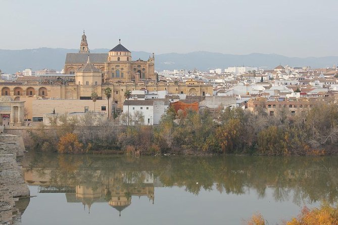 Córdoba & Carmona With Mosque, Synagogue & Patios From Seville - Pickup and Drop-off Service