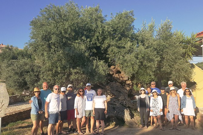 Crete Wine and Olive Oil Tour - Confirmation and Cancellation