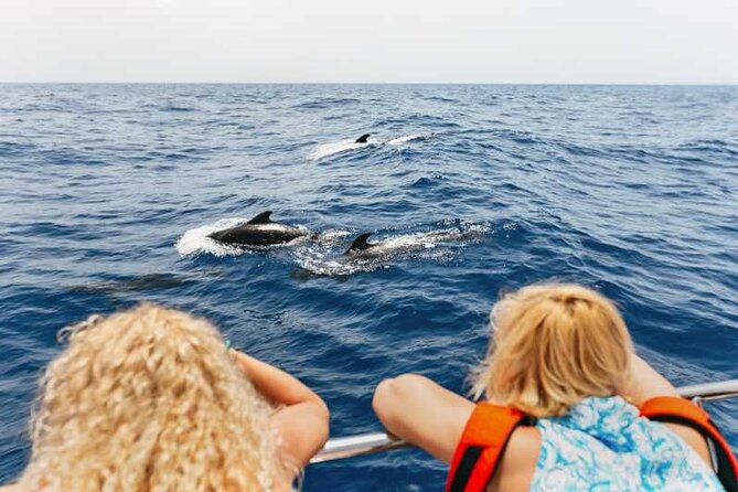 Dolphin Watching Tour With Snorkeling From Olbia - Group Size and Age Limit