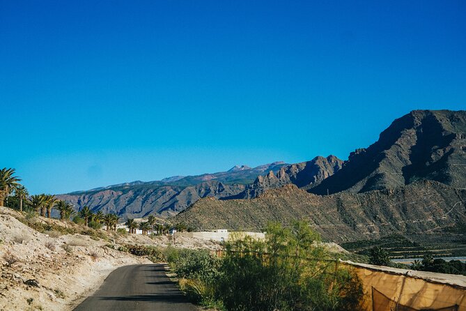 Double Tuk Tuk Tour in Costa Adeje - Tour Types