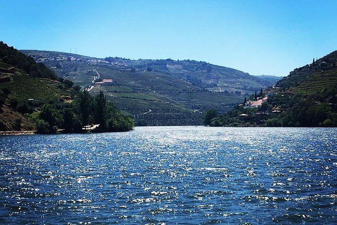 Douro Valley: Food and Wine Small Group Tour From Porto - Accessibility and Child Policy