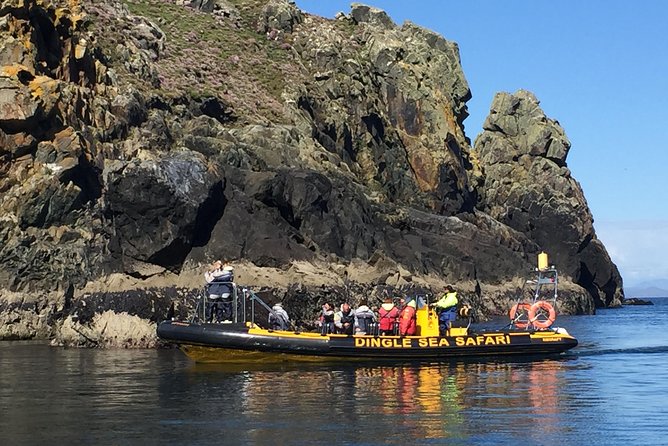 Exhilarating Rib Experience - Dingle Sea Safari - Exploring the Rugged Coastline
