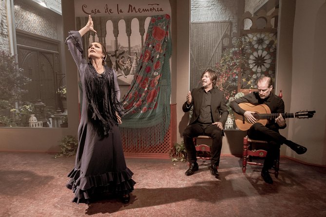 Flamenco Show at Casa De La Memoria Admission Ticket - Practical Accessibility Information