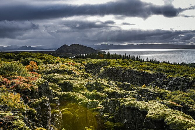 Golden Circle, Fridheimar & Secret Lagoon Small-Group Tour - Meeting Point and Pickup