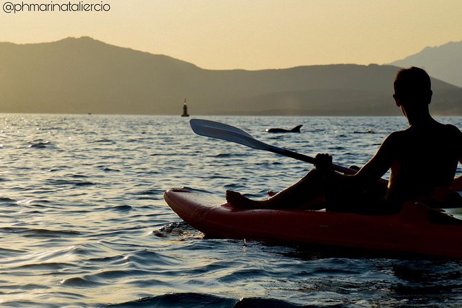 Kayak Tour With Aperitif and Dolphins - Group Size and Experience