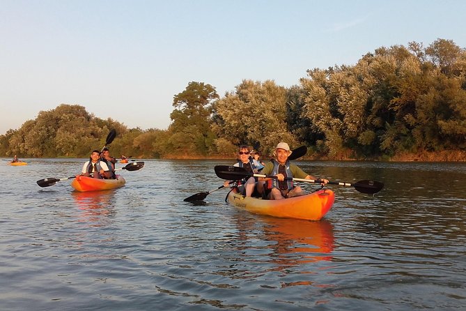 Kayaking in Zaragoza: Fluvial Ecotourism With Ebronautas - Natural Surroundings and Scenery