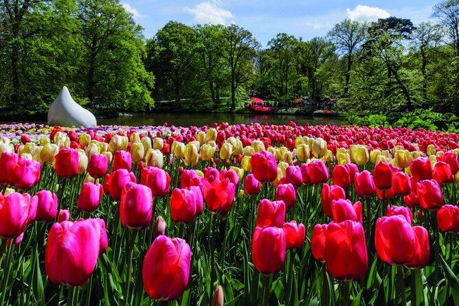 Keukenhof Ticket With Roundtrip Shuttle Bus From Amsterdam - Cancellation and Refund Policy