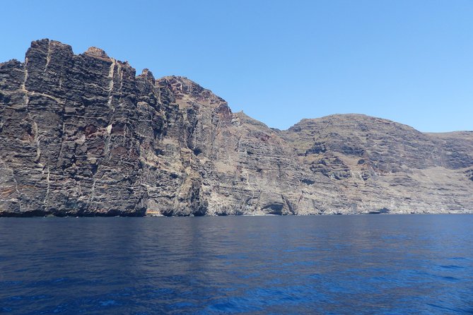 Los Gigantes Whale Watching Charter by Sail Boat - Availability of German Guide