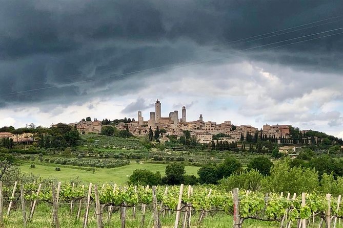 Private Tour in Siena, San Gimignano and Chianti Day Trip From Florence - Flexible Cancellation Policy