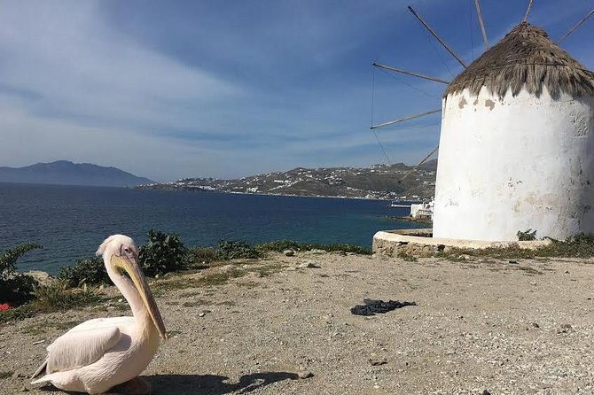 Private Tour: Mykonos Island in Half a Day - Island Monastery and Free Time