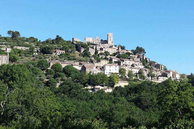 Provence Highlights Full-Day Tour From Avignon - Inclusions and Logistics