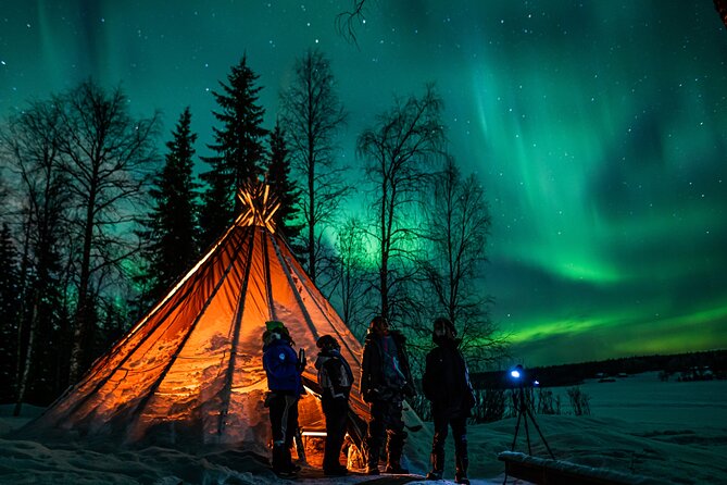 Rovaniemi Northern Lights Photography Small-Group Tour - Highly Rated Guest Experiences