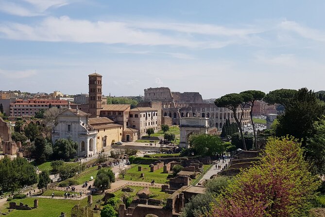 Skip The Line: Colosseum, Roman Forum, Palatine Hill Guided Tour - Professional Guided Tour