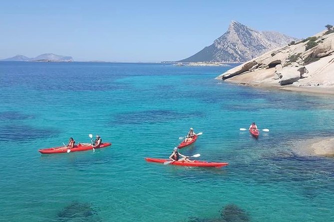 Small Group Kayak Tour With Snorkeling and Fruit - Experiencing the Coastline